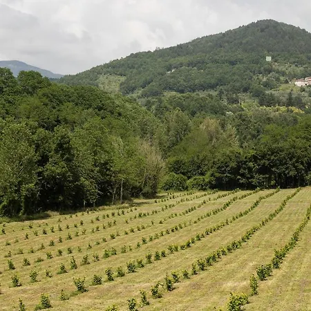 Podere Groppini Feriegård