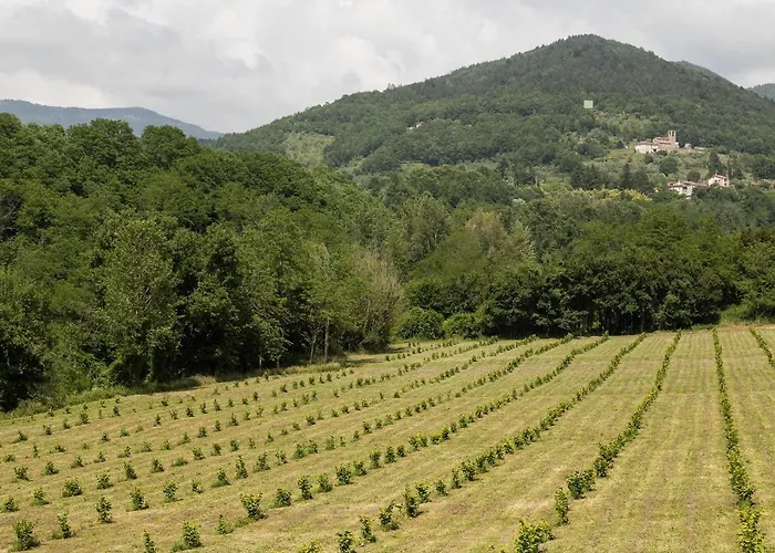 Podere Groppini Feriegård