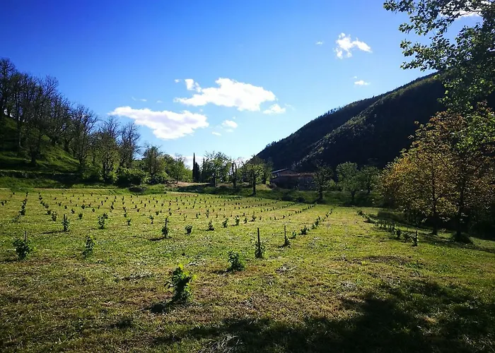 Feriegård Podere Groppini