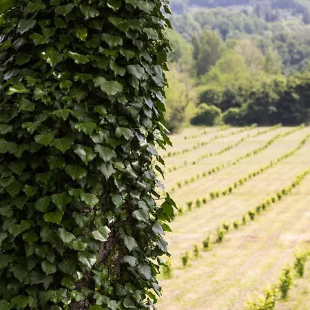 Podere Groppini Farm stay *