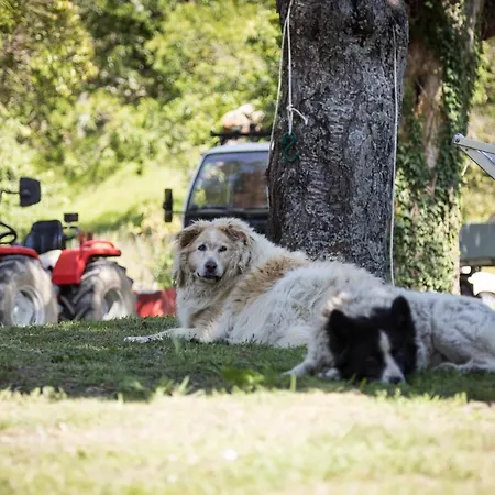 Agroturismo Podere Groppini