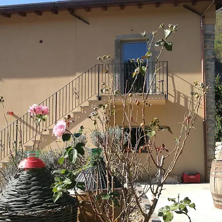 Agroturismo Podere Groppini