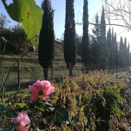 Agroturismo Podere Groppini *
