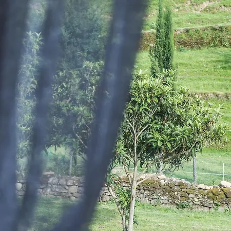 Podere Groppini Farm stay