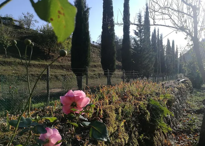 בית חווה Podere Groppini *