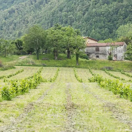 Podere Groppini Alloggio per agriturismo Fivizzano