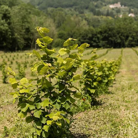 Podere Groppini Bauernhof Fivizzano