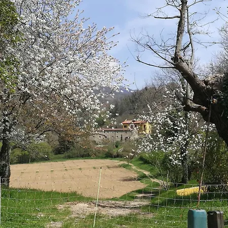 Bauernhof Podere Groppini *