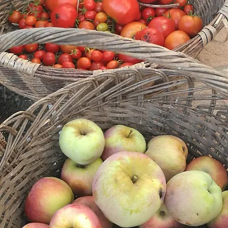 Podere Groppini Fivizzano