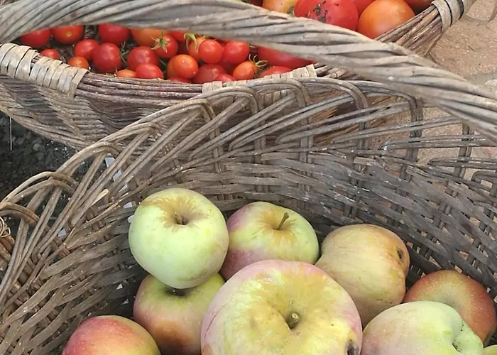 Podere Groppini Fivizzano